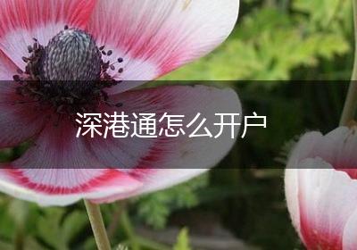 深港通怎么开户
