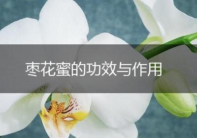 枣花蜜的功效与作用