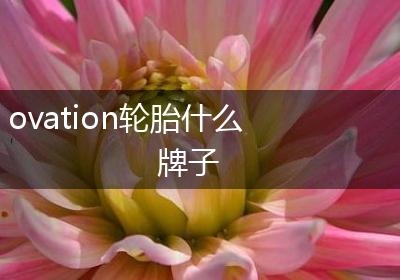 ovation轮胎什么牌子