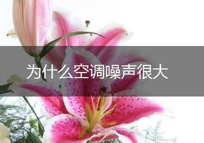 为什么空调噪声很大