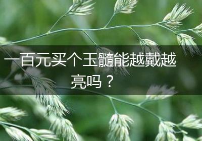 一百元买个玉髓能越戴越亮吗？
