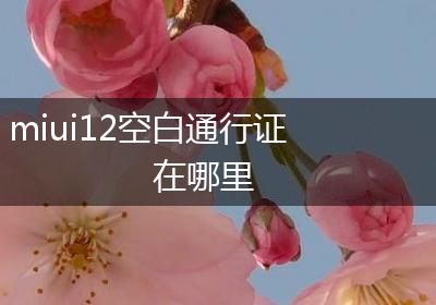 miui12空白通行证在哪里