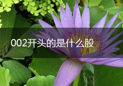 002开头的是什么股