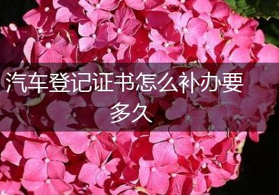 汽车登记证书怎么补办要多久