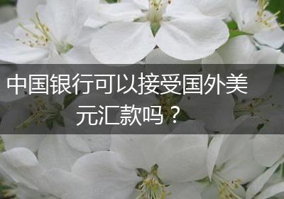中国银行可以接受国外美元汇款吗？