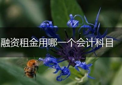 融资租金用哪一个会计科目