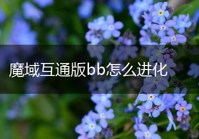 魔域互通版bb怎么进化