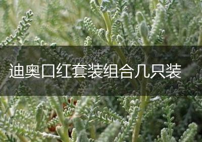 迪奥口红套装组合几只装