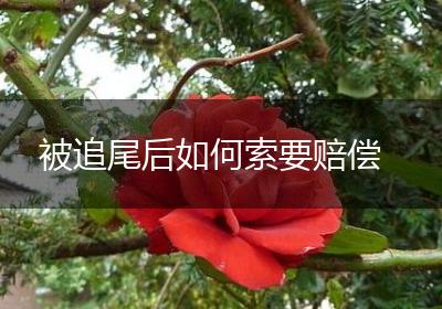被追尾后如何索要赔偿