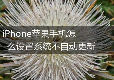 iPhone苹果手机怎么设置系统不自动更新