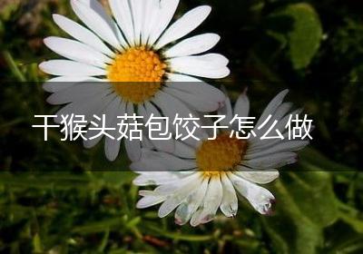 干猴头菇包饺子怎么做
