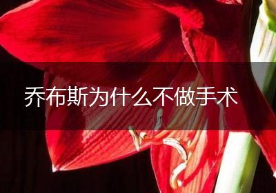 乔布斯为什么不做手术
