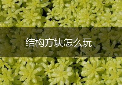 结构方块怎么玩
