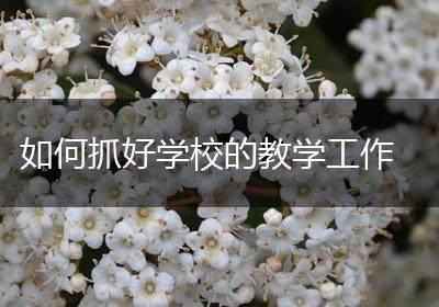 如何抓好学校的教学工作