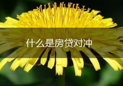 什么是房贷对冲
