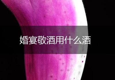 婚宴敬酒用什么酒