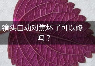 镜头自动对焦坏了可以修吗？