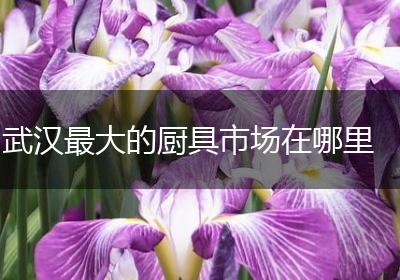 武汉最大的厨具市场在哪里