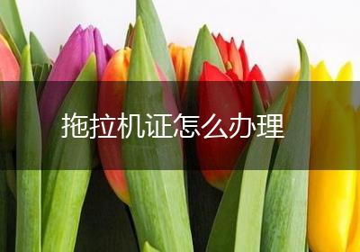 拖拉机证怎么办理