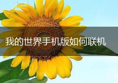 我的世界手机版如何联机