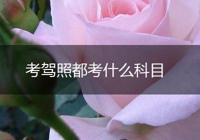 考驾照都考什么科目