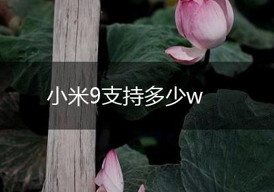 小米9支持多少w