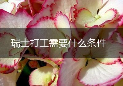 瑞士打工需要什么条件