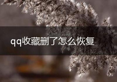 qq收藏删了怎么恢复
