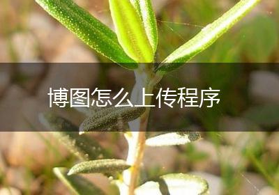 博图怎么上传程序