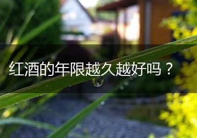 红酒的年限越久越好吗？