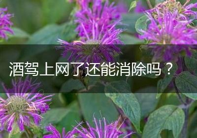 酒驾上网了还能消除吗？