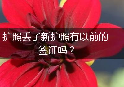 护照丢了新护照有以前的签证吗？