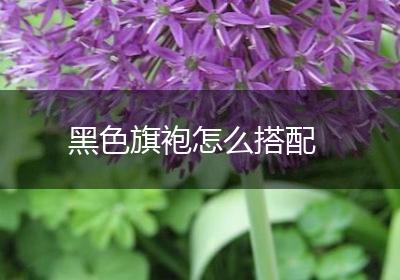 黑色旗袍怎么搭配