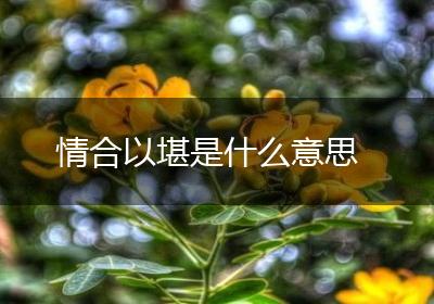 情合以堪是什么意思