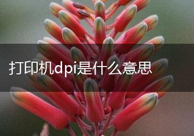 打印机dpi是什么意思