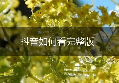 抖音如何看完整版
