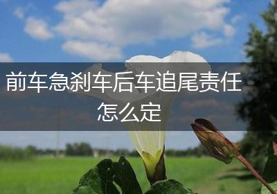 前车急刹车后车追尾责任怎么定