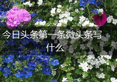 今日头条第一条微头条写什么