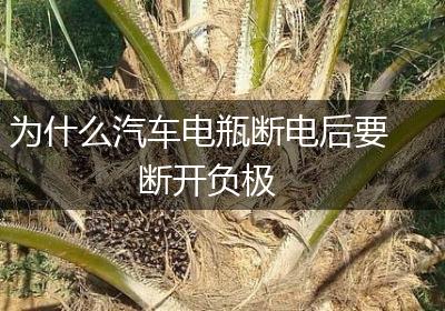 为什么汽车电瓶断电后要断开负极