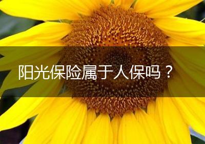 阳光保险属于人保吗？