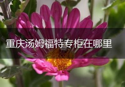 重庆汤姆福特专柜在哪里