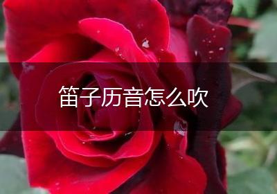 笛子历音怎么吹