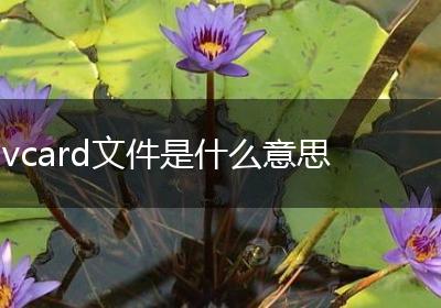 vcard文件是什么意思