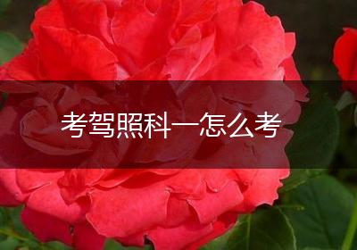 考驾照科一怎么考