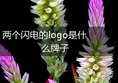 两个闪电的logo是什么牌子