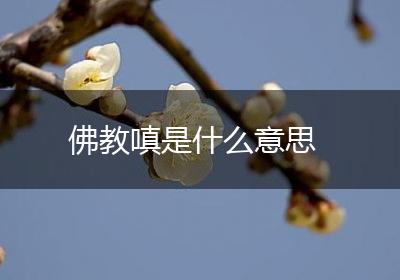 佛教嗔是什么意思