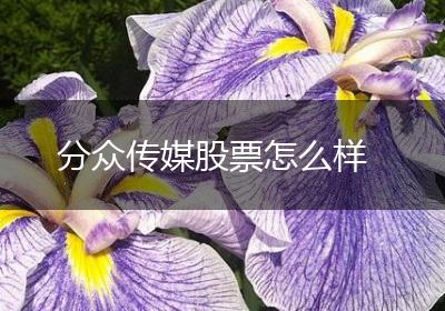 分众传媒股票怎么样