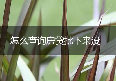 怎么查询房贷批下来没