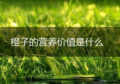 橙子的营养价值是什么