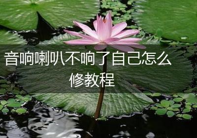 音响喇叭不响了自己怎么修教程